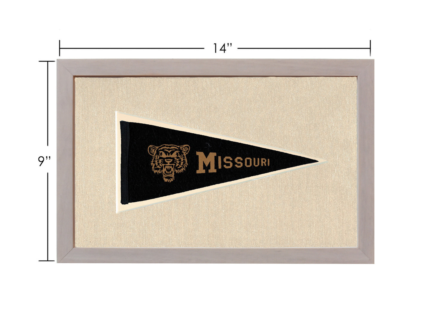 Vintage Missouri Pennant