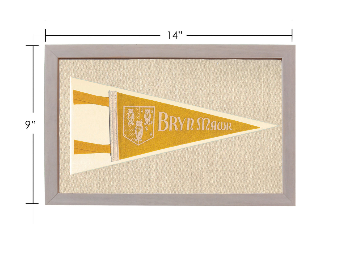 Vintage Bryn Mawr College Pennant