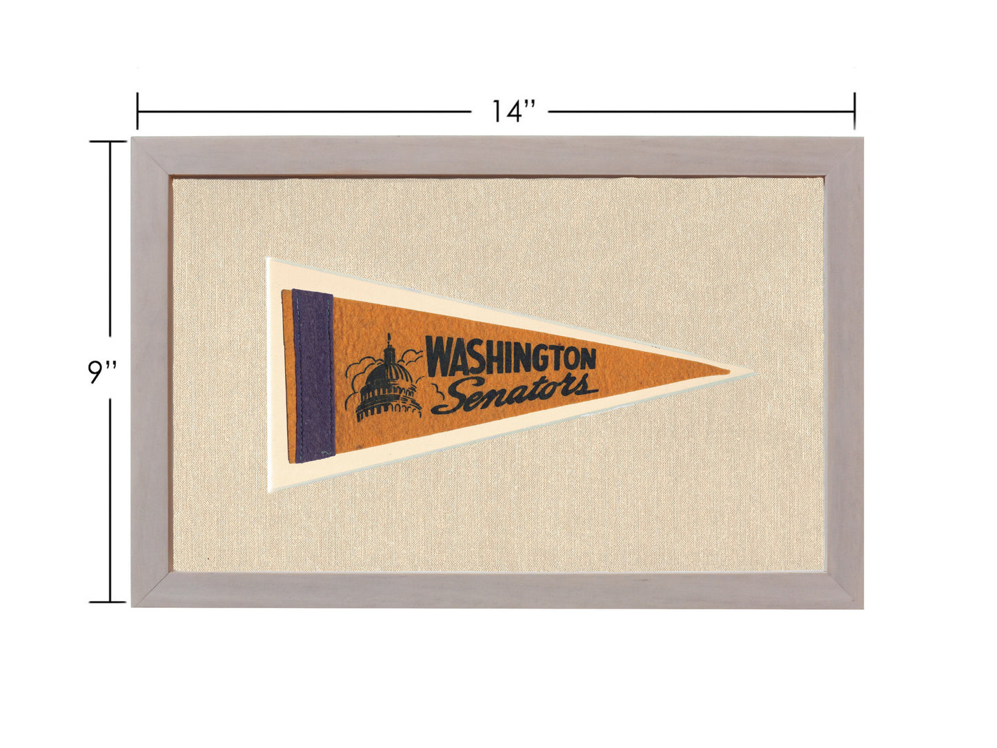 Vintage Washington Senators Pennant