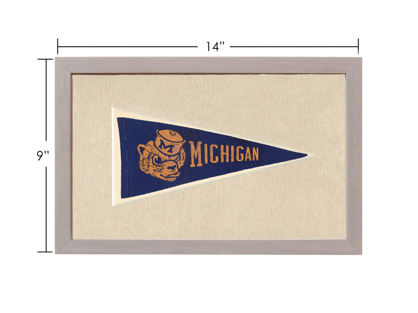 Vintage Michigan Pennant