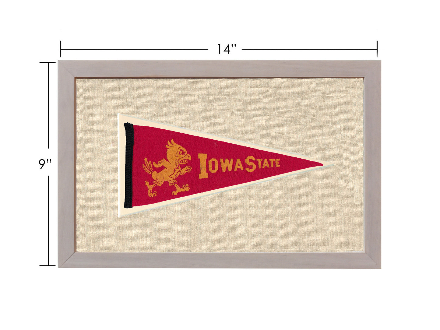Vintage Iowa State Pennant