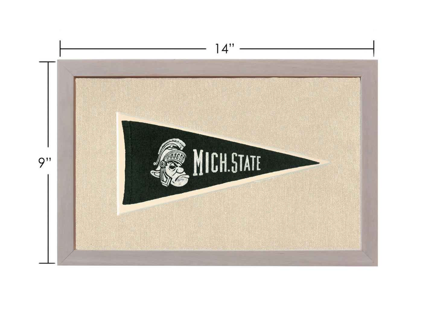 Vintage Michigan State Pennant
