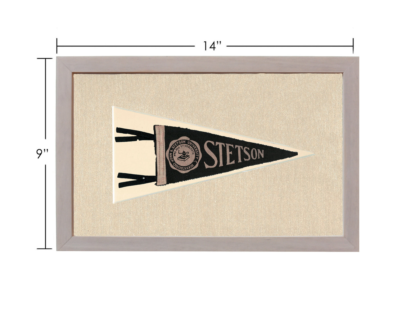 Vintage Stetson University Pennant