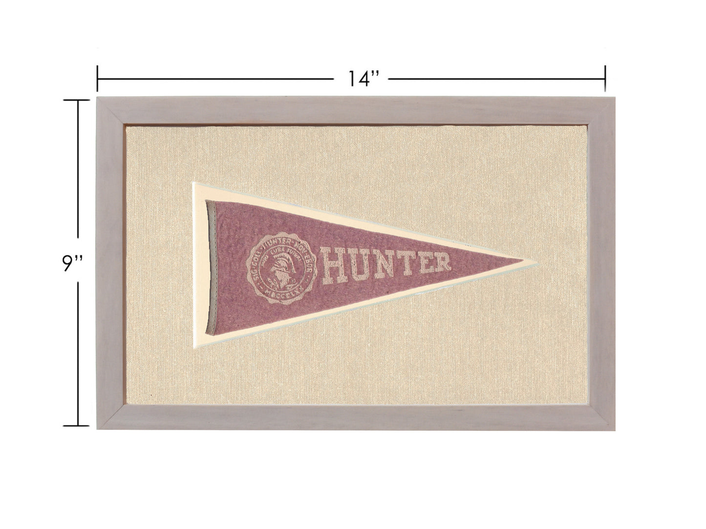 Vintage Hunter College Pennant