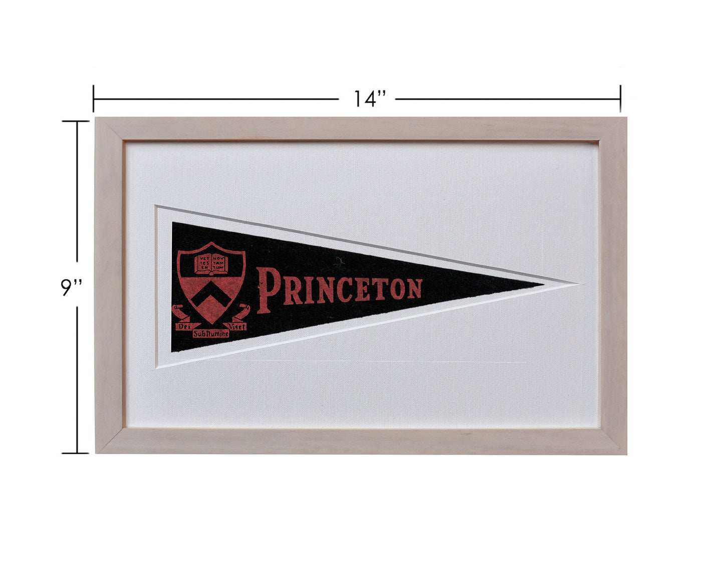 Vintage Princeton University Hormel Pennant