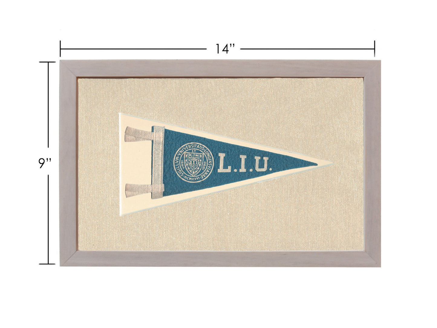 Vintage Long Island University Pennant