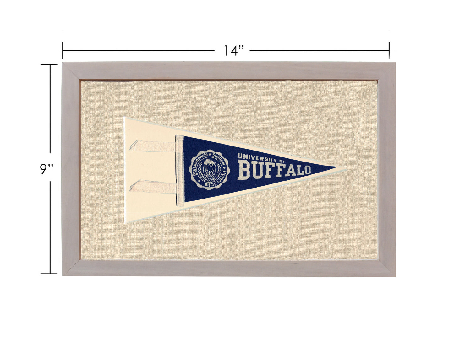 Vintage University of Buffalo Pennant