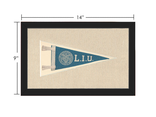 Vintage Long Island University Pennant