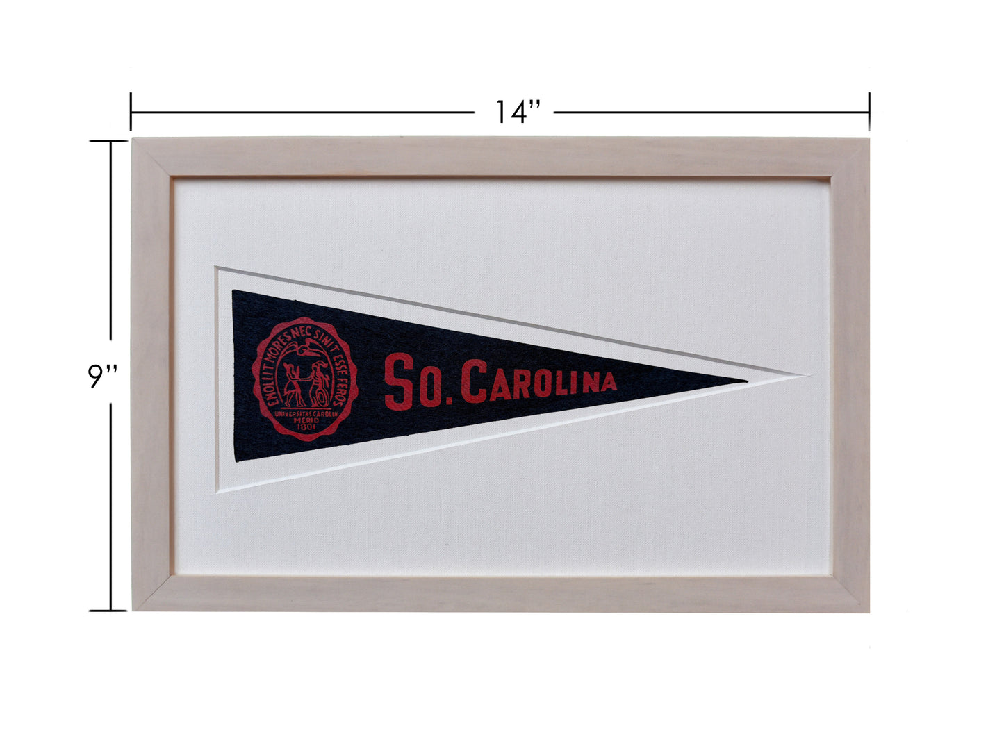 Vintage University of South Carolina Hormel Pennant