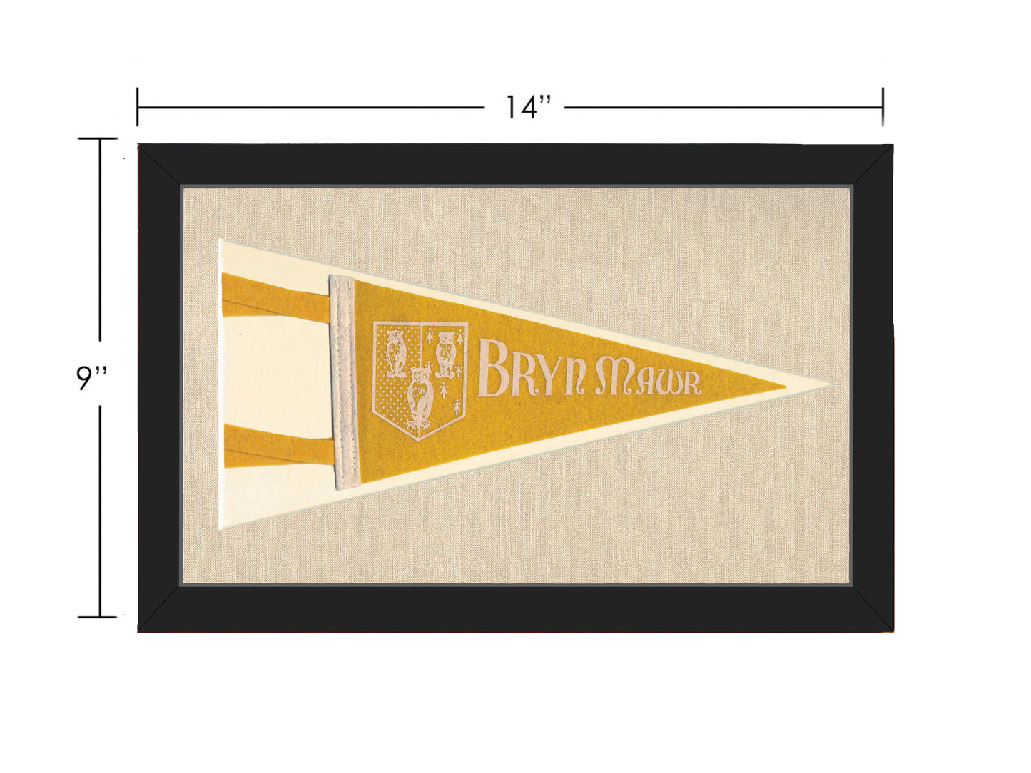 Vintage Bryn Mawr College Pennant
