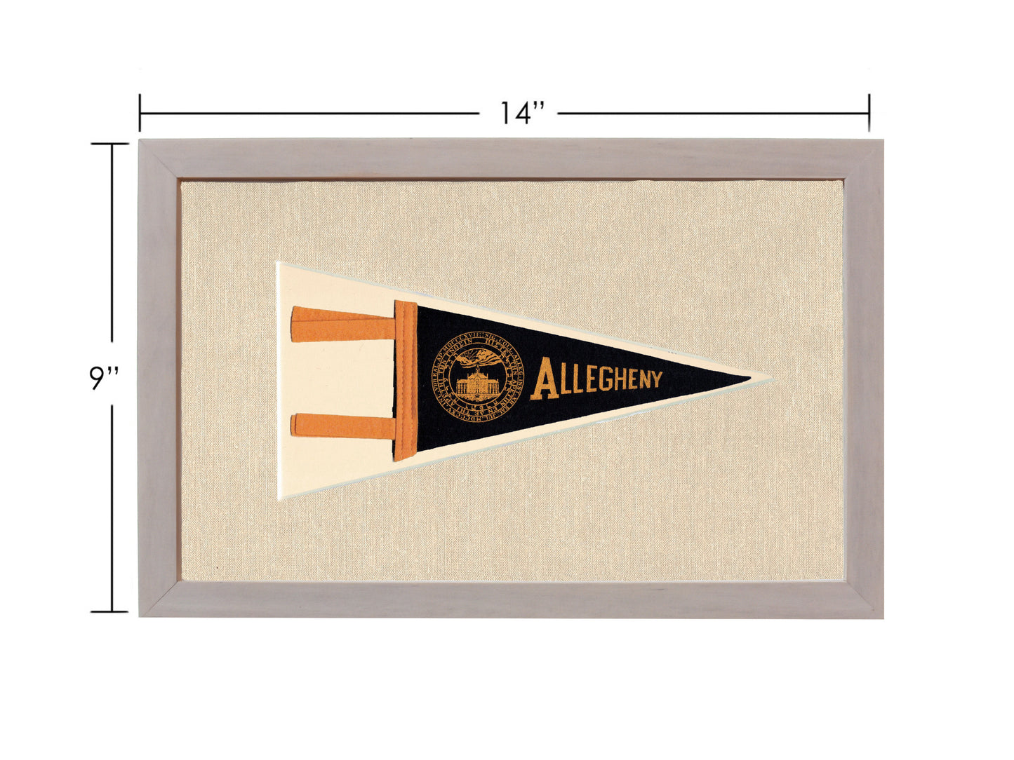Vintage Allegheny College Pennant