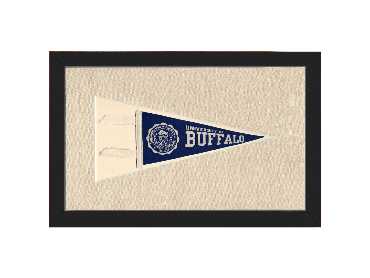 Vintage University of Buffalo Pennant