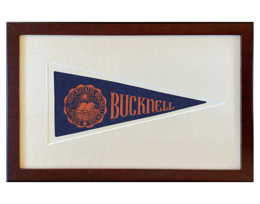 Vintage Bucknell University Pennant