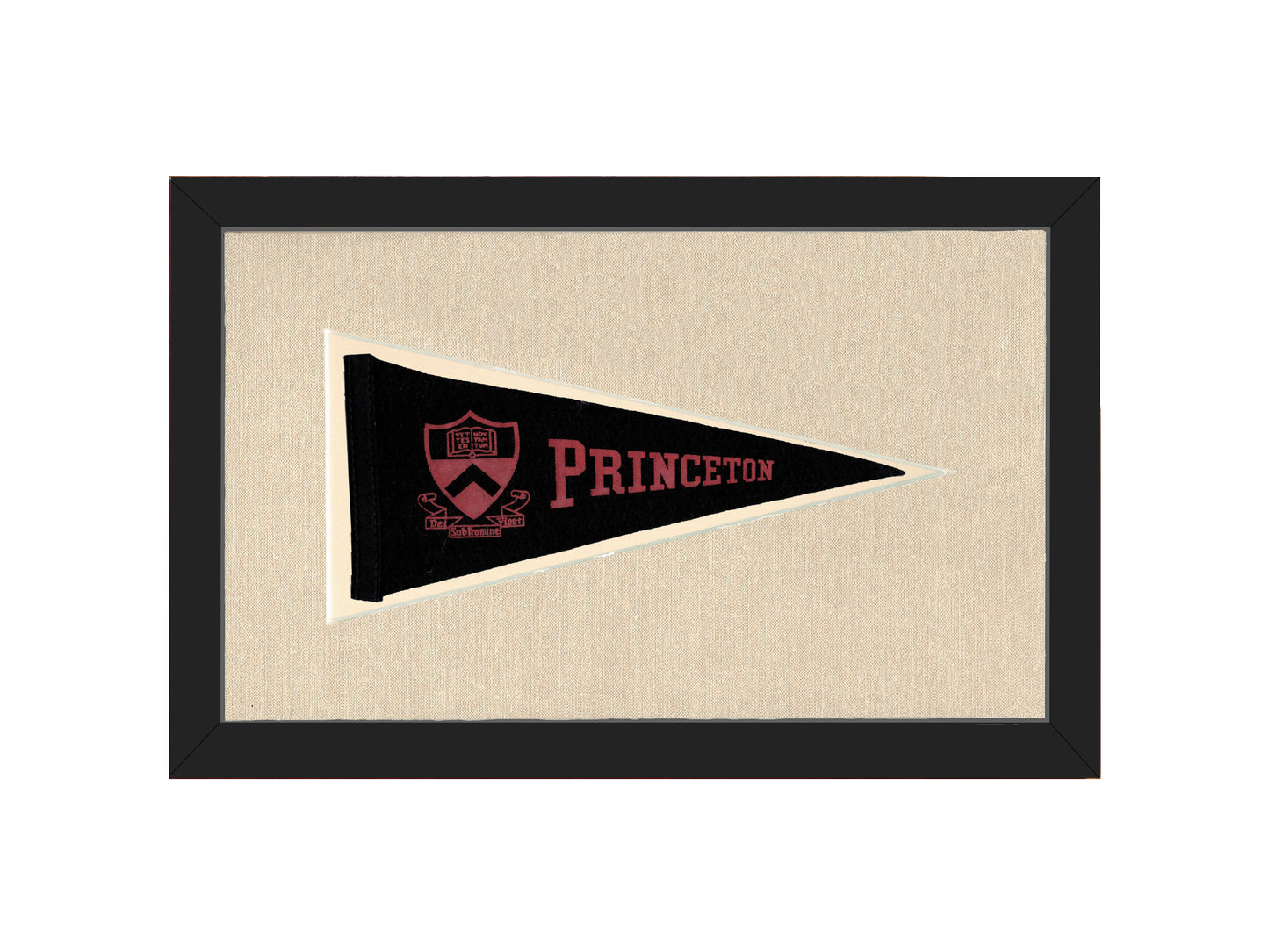Vintage Princeton Pennant