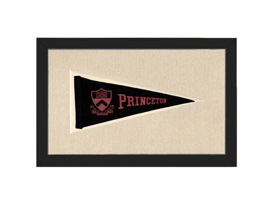 Vintage Princeton Pennant