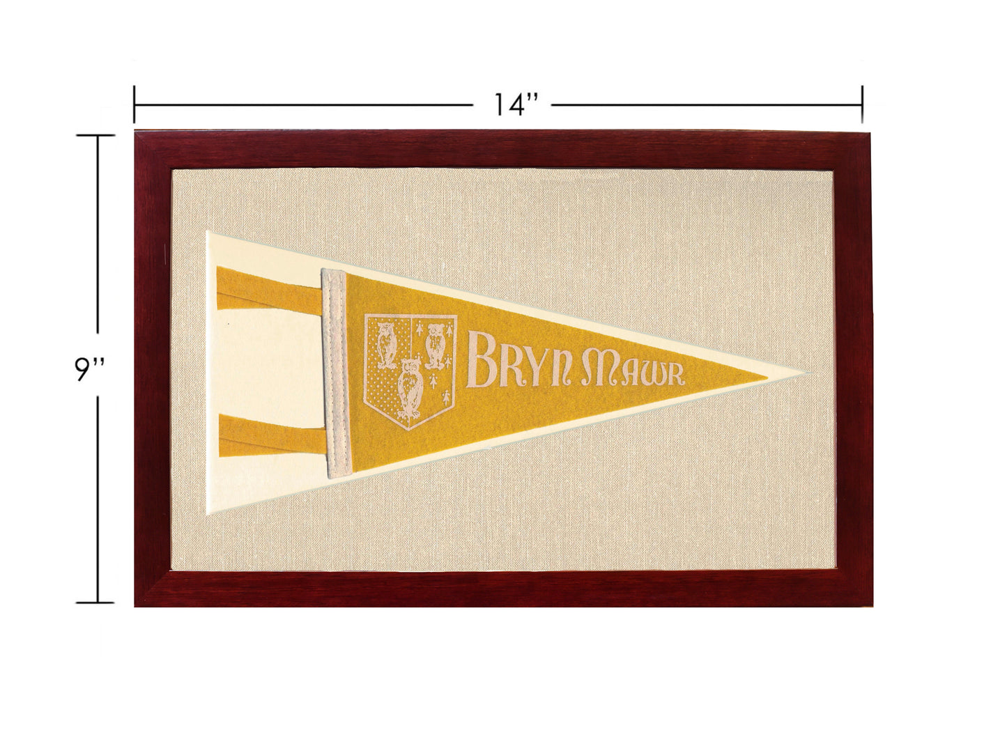 Vintage Bryn Mawr College Pennant