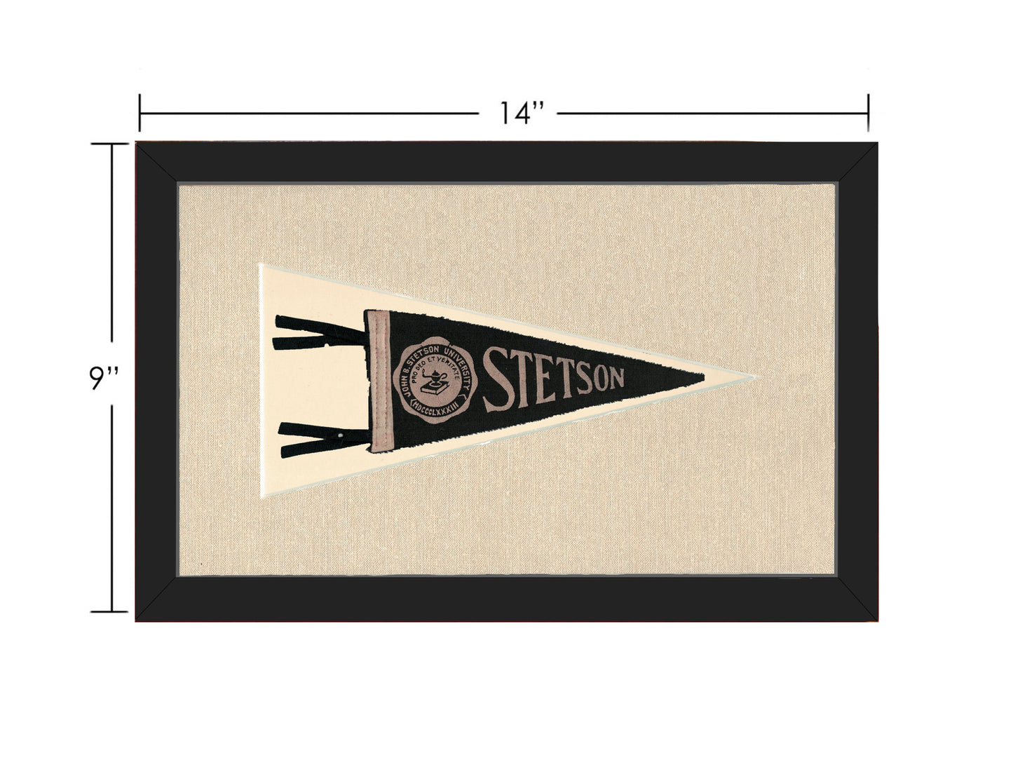 Vintage Stetson University Pennant