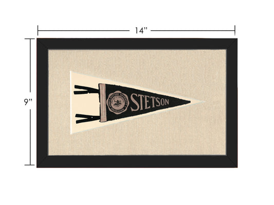 Vintage Stetson University Pennant