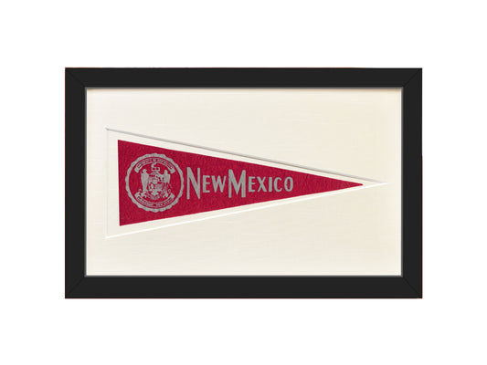 Vintage University of New Mexico Hormel Pennant