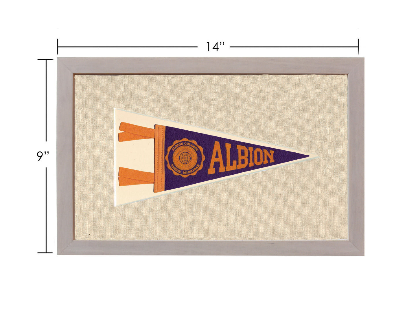Vintage Albion College Pennant