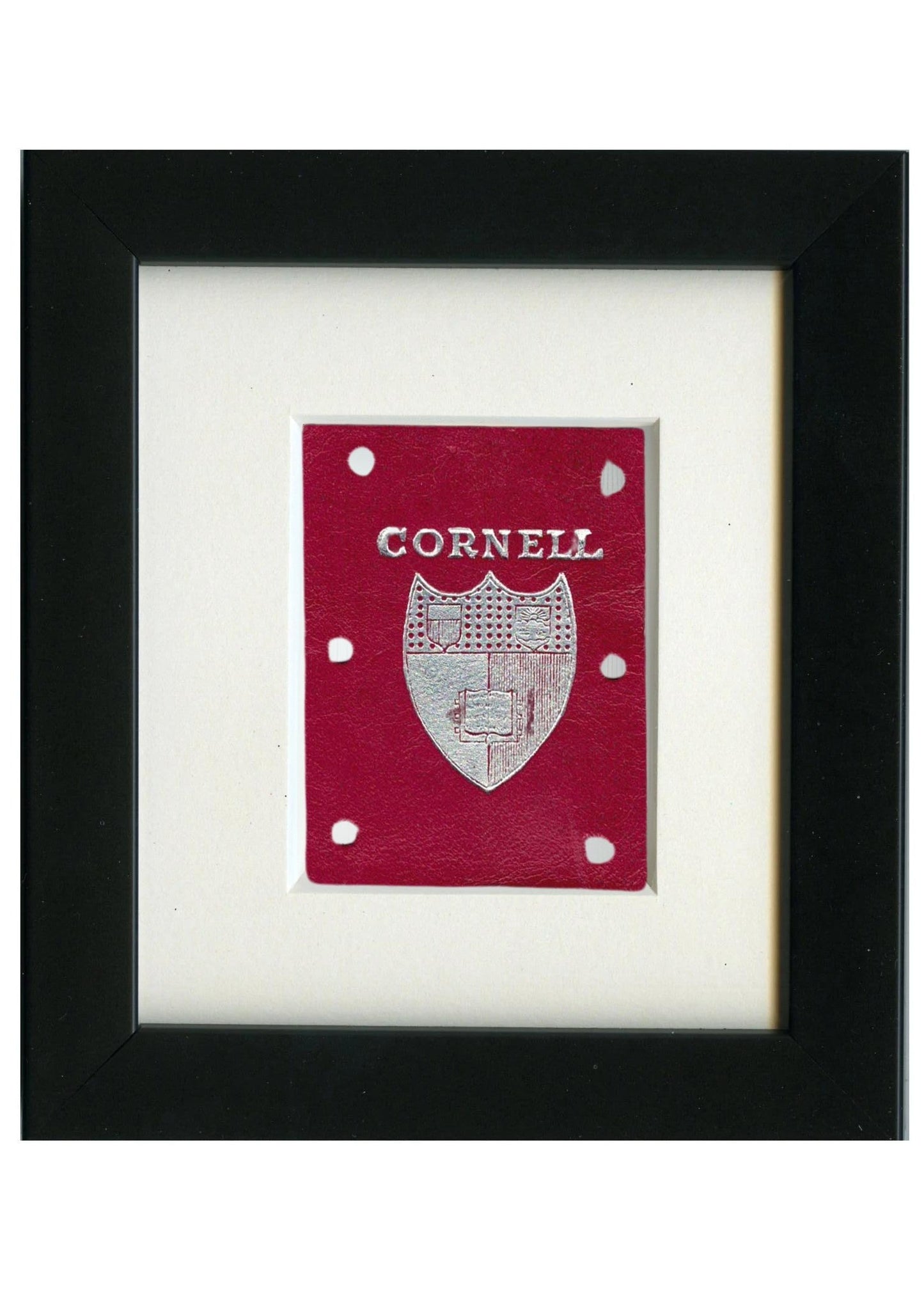 Vintage Cornell University Tabacco Leather circa 1910