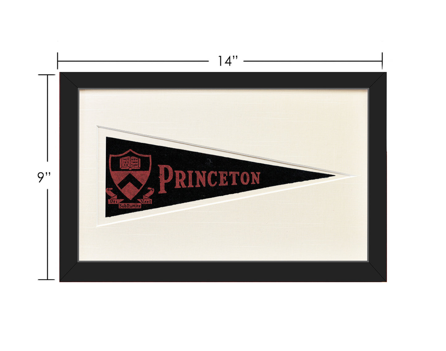 Vintage Princeton University Hormel Pennant