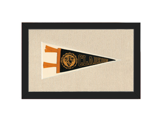 Vintage Clarkson College Pennant