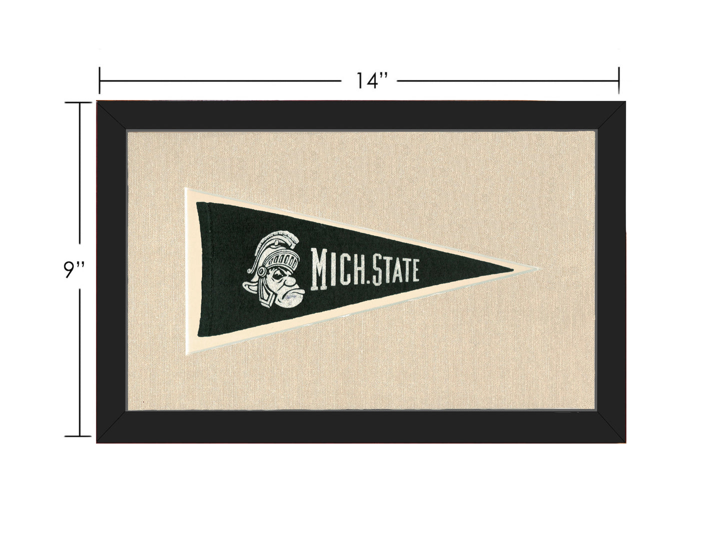 Vintage Michigan State Pennant