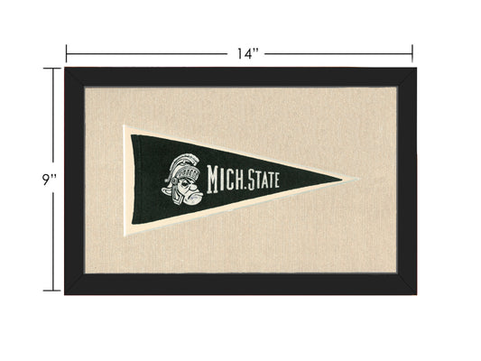 Vintage Michigan State Pennant