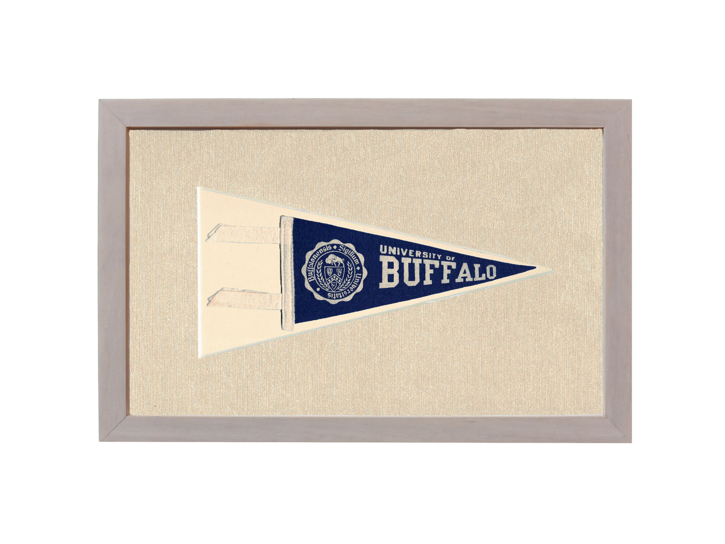 Vintage University of Buffalo Pennant