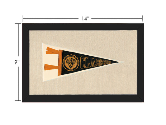 Vintage Clarkson College Pennant