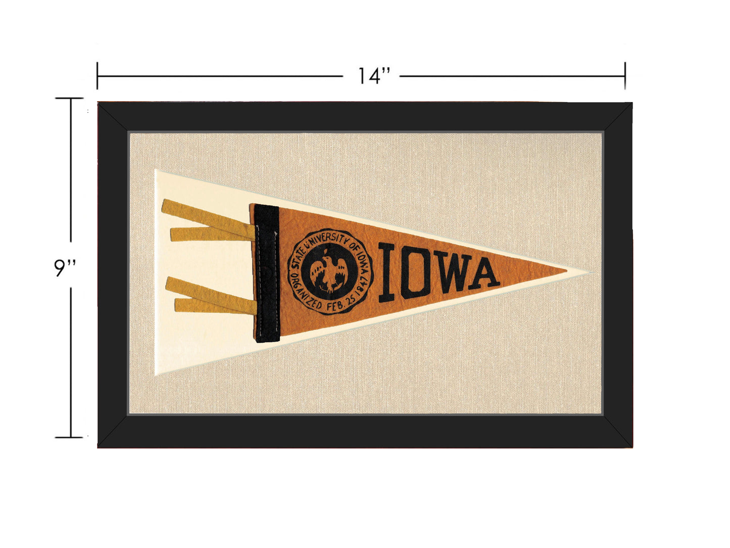 Vintage University of Iowa Pennant