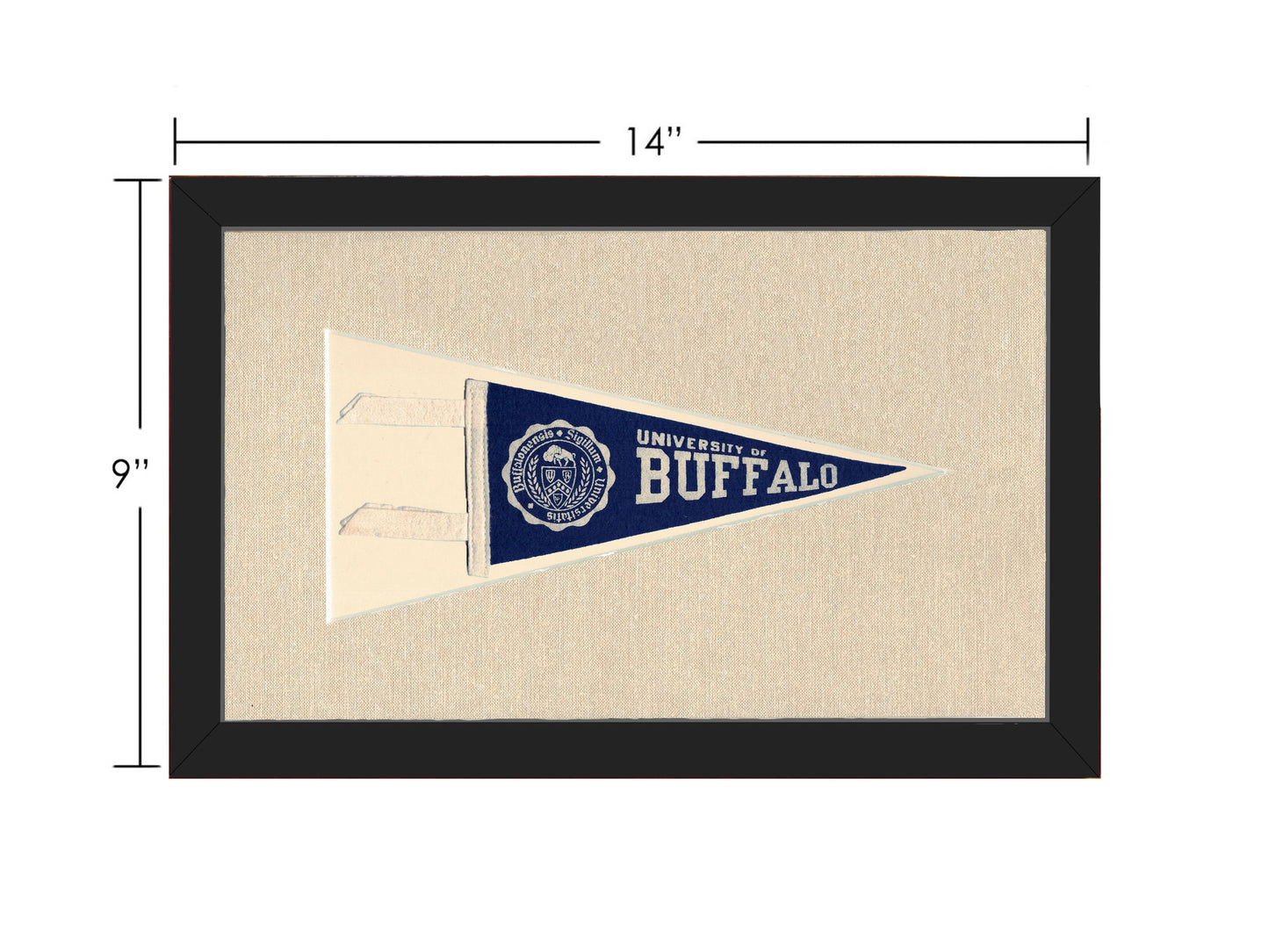 Vintage University of Buffalo Pennant