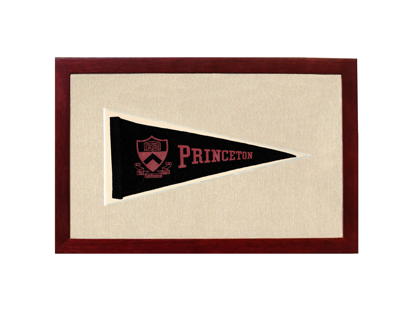 Vintage Princeton Pennant