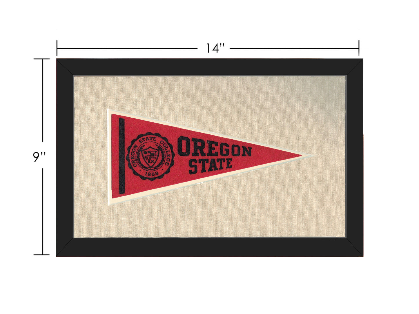 Vintage Oregon State Pennant