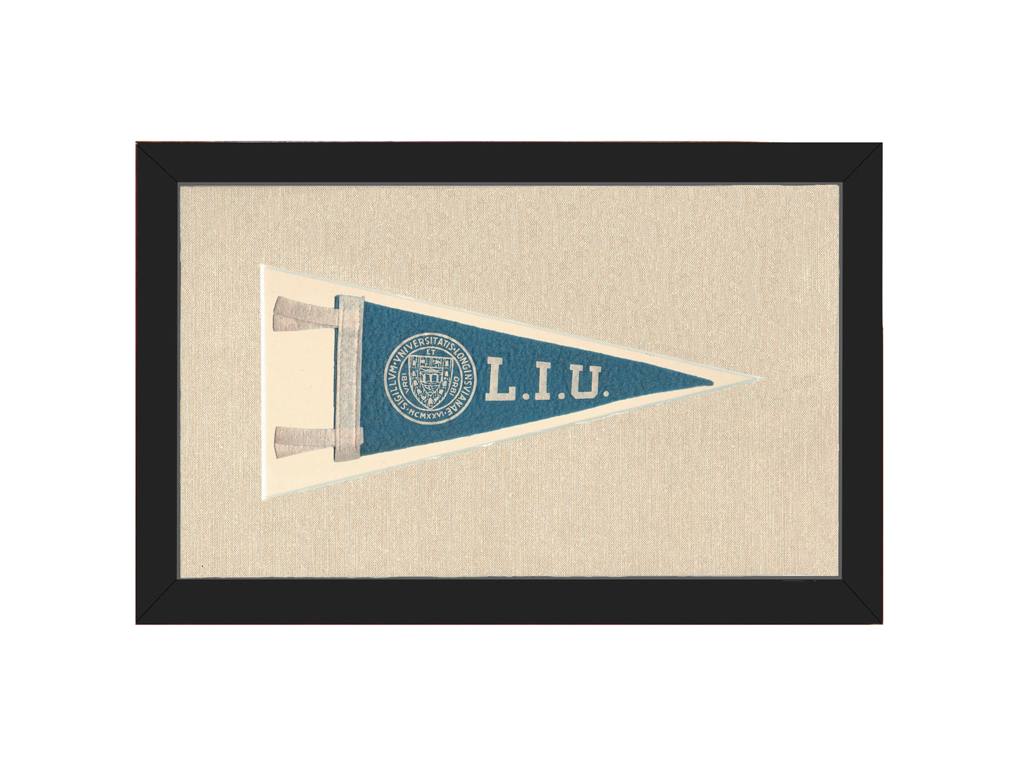 Vintage Long Island University Pennant