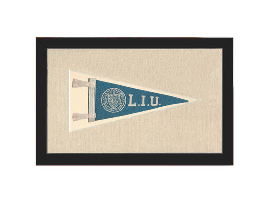 Vintage Long Island University Pennant