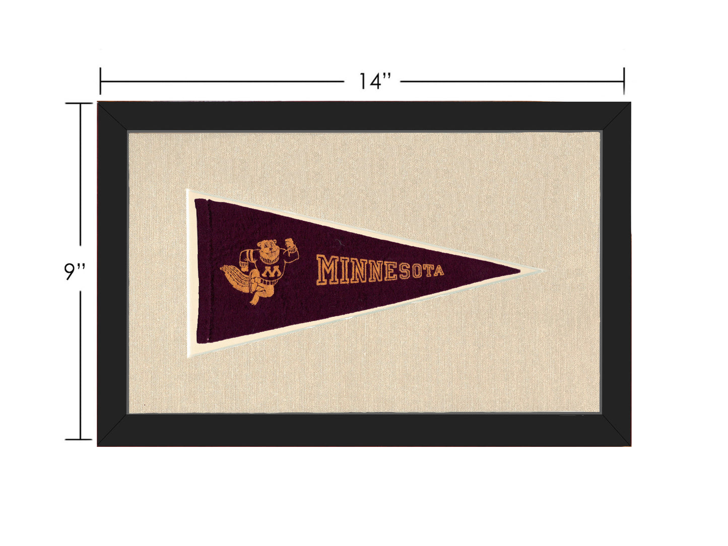 Vintage Minnesota Pennant