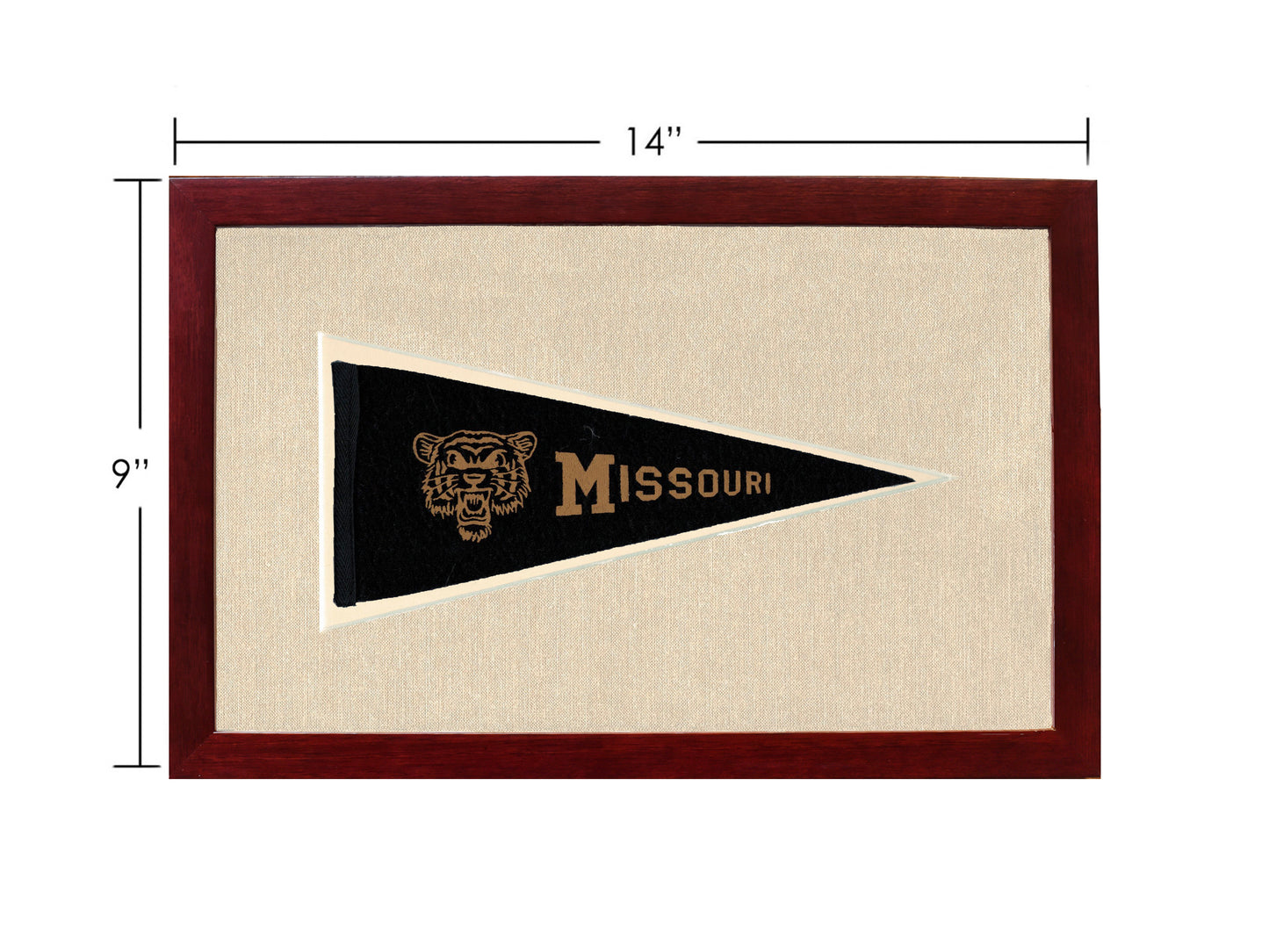 Vintage Missouri Pennant