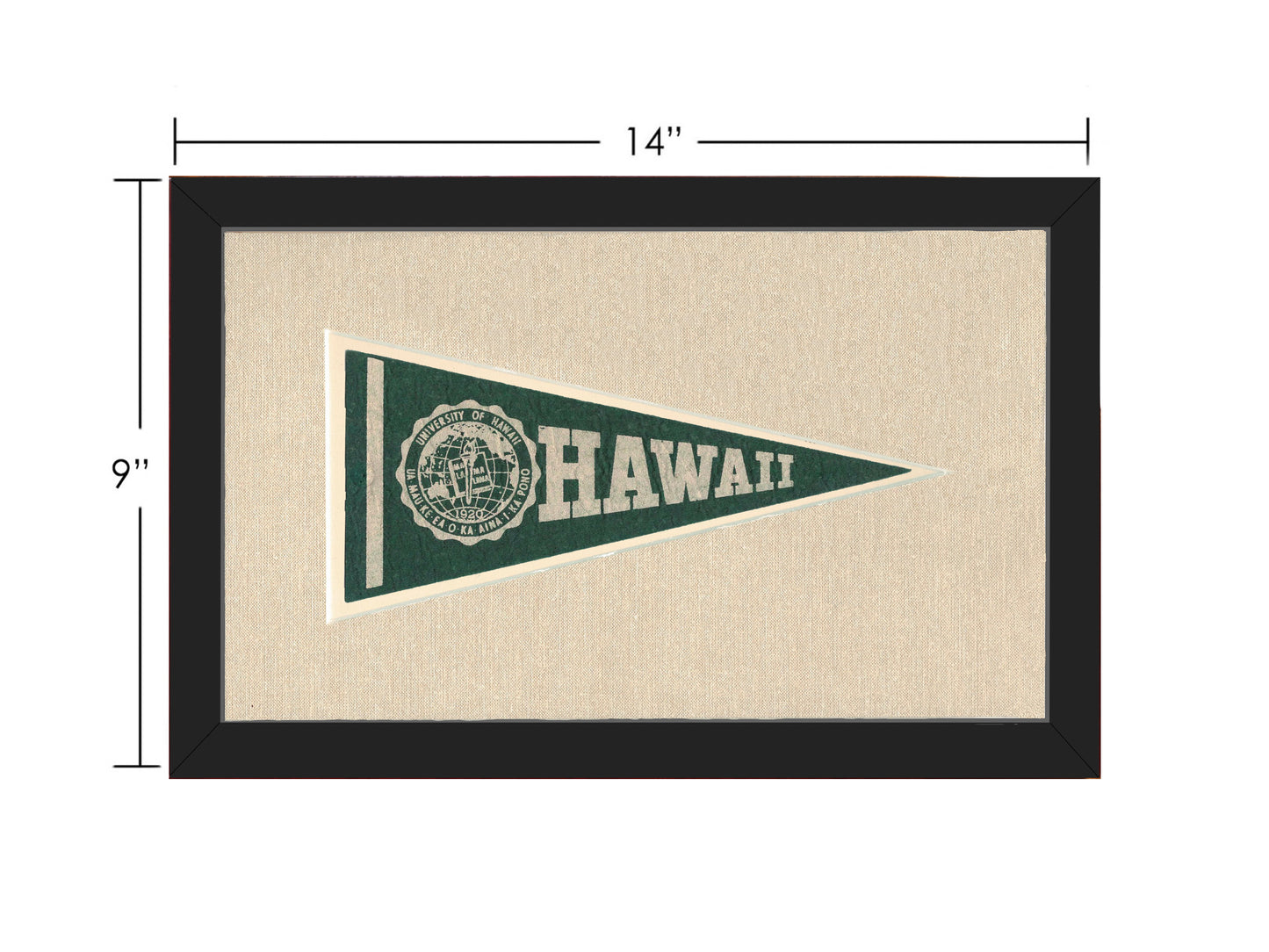 Vintage University of Hawaii Pennant