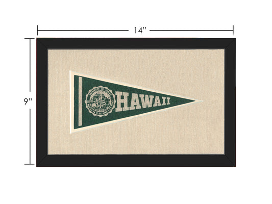 Vintage University of Hawaii Pennant
