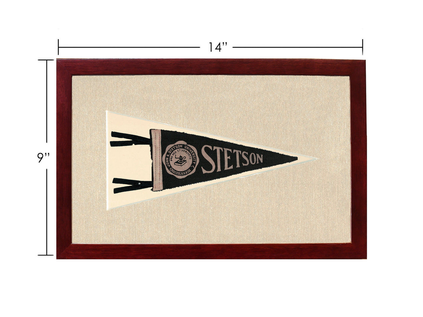 Vintage Stetson University Pennant