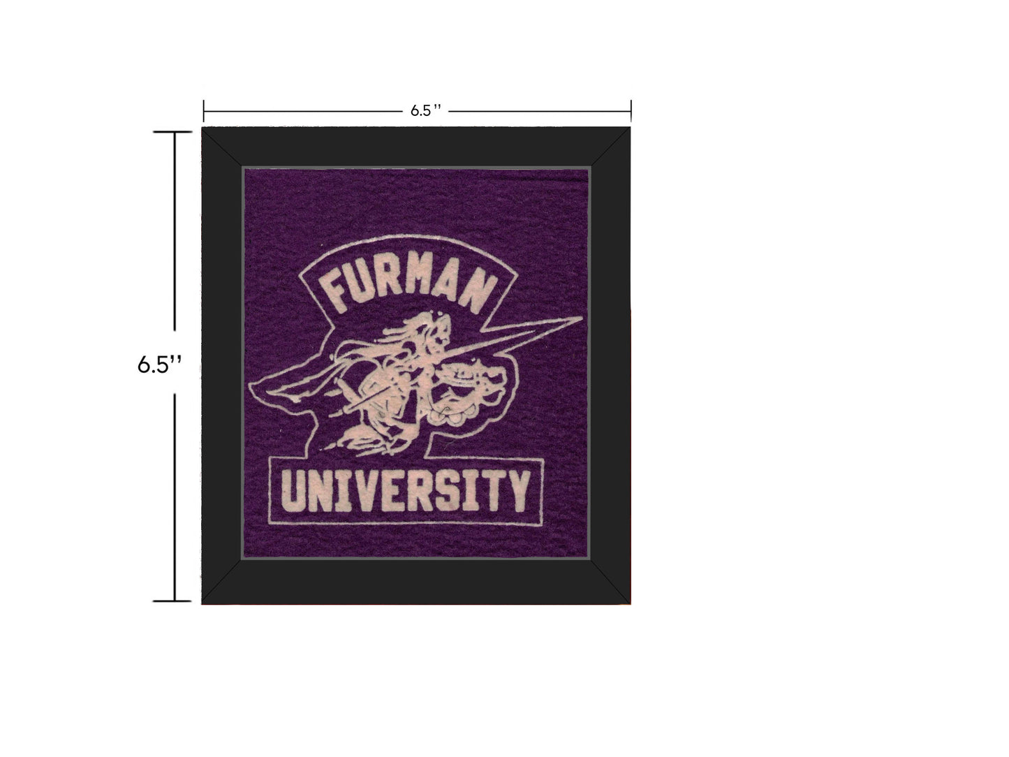 Vintage Furman University Mascot Patch