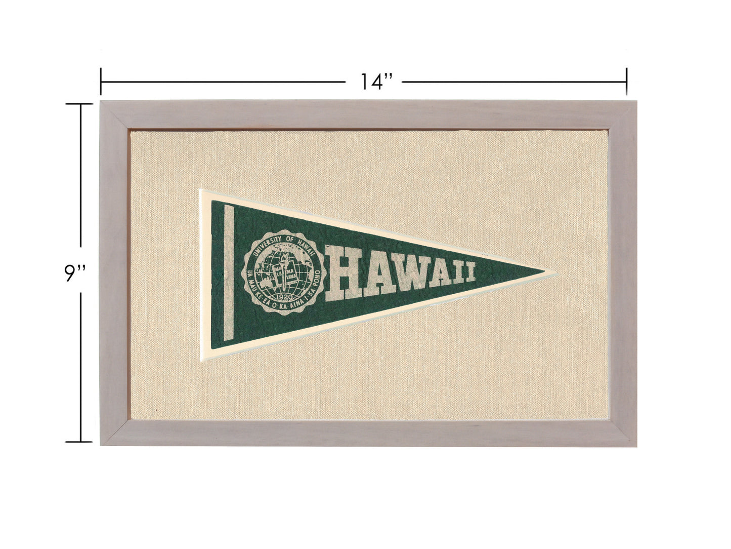 Vintage University of Hawaii Pennant