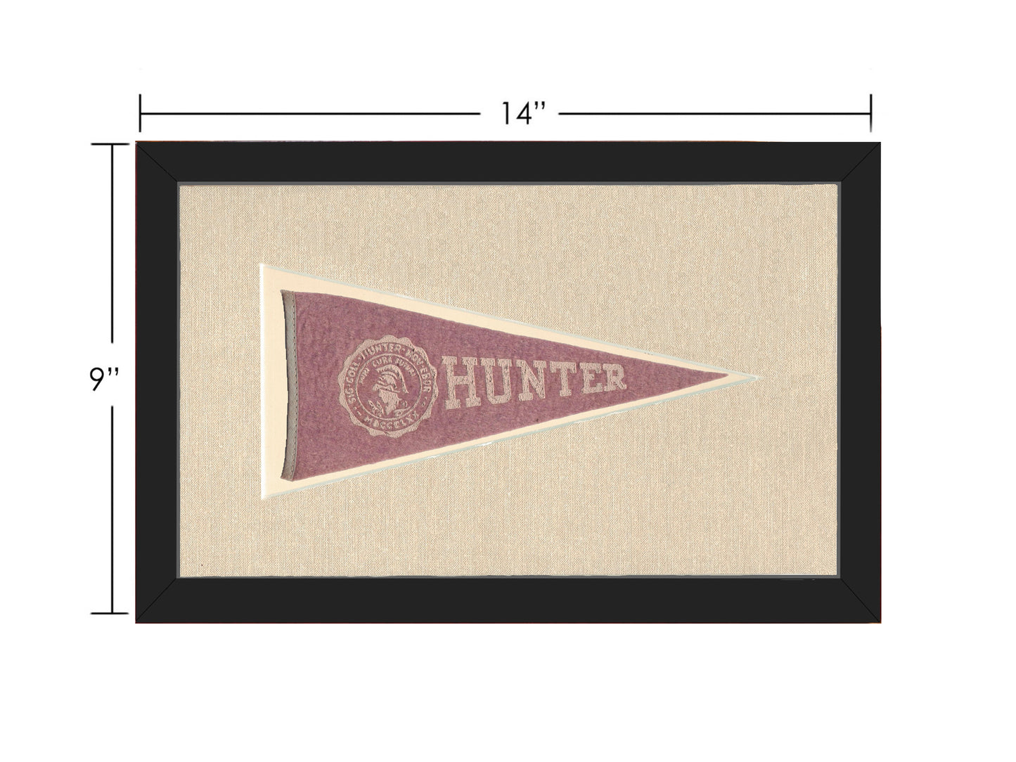 Vintage Hunter College Pennant