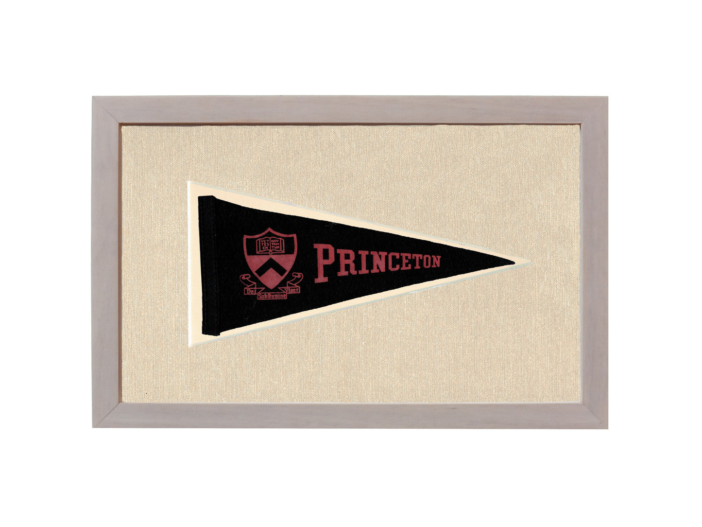 Vintage Princeton Pennant