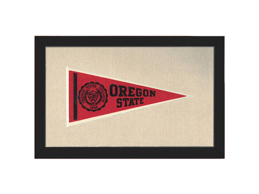 Vintage Michigan State Pennant