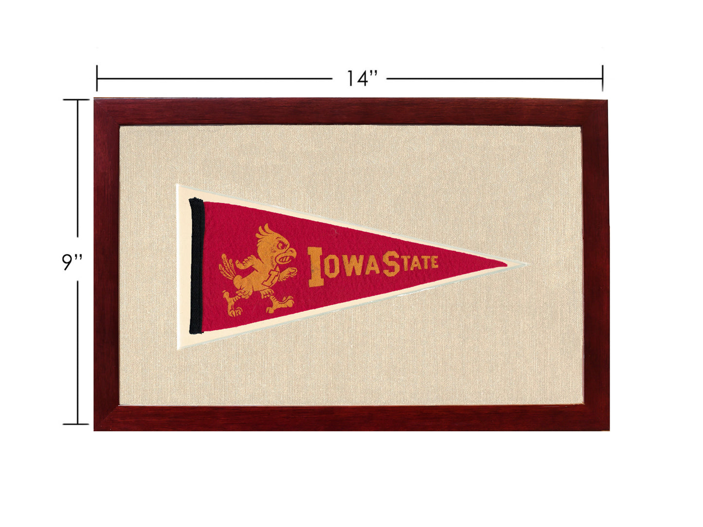 Vintage Iowa State Pennant