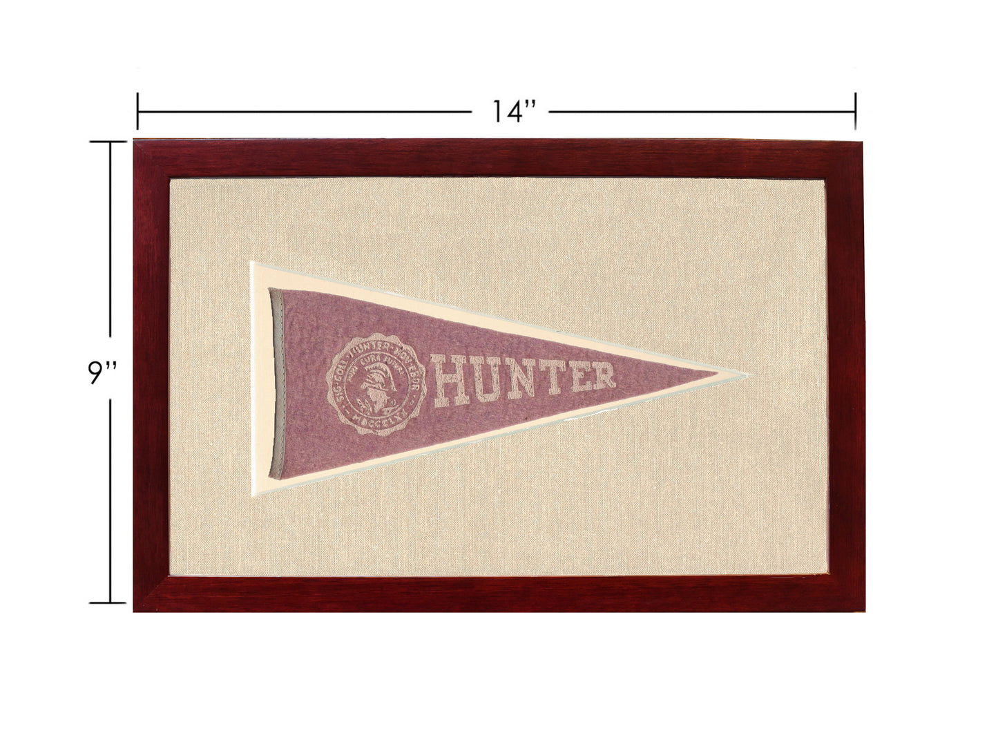 Vintage Hunter College Pennant