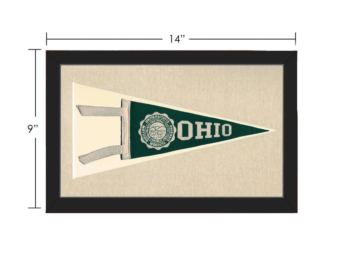 Vintage Ohio University Pennant